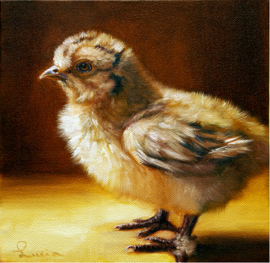 Baby Chick